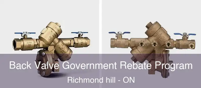  Back Valve Government Rebate Program Richmond hill - ON