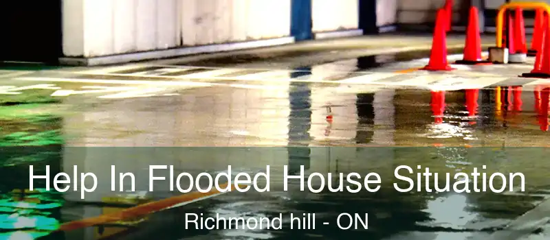 Help In Flooded House Situation Richmond hill - ON